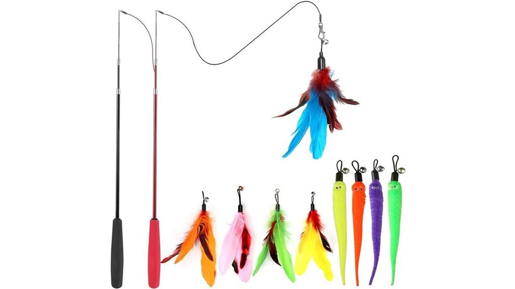 cat toy with feathers