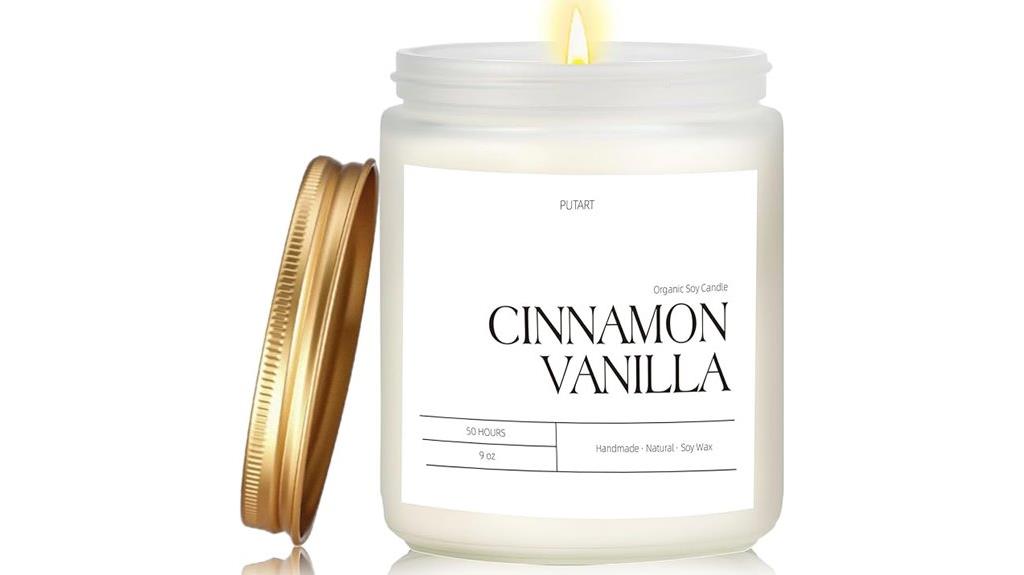 cinnamon vanilla soy candles