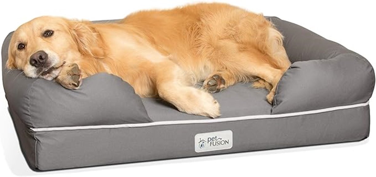 dog bed in multiple sizes