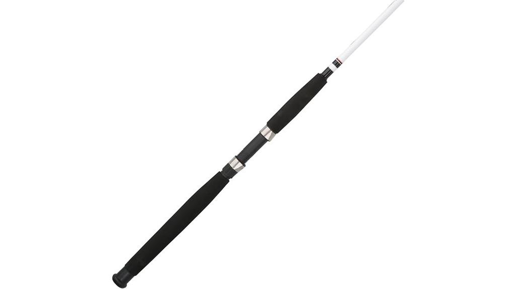 heavy duty spinning rod