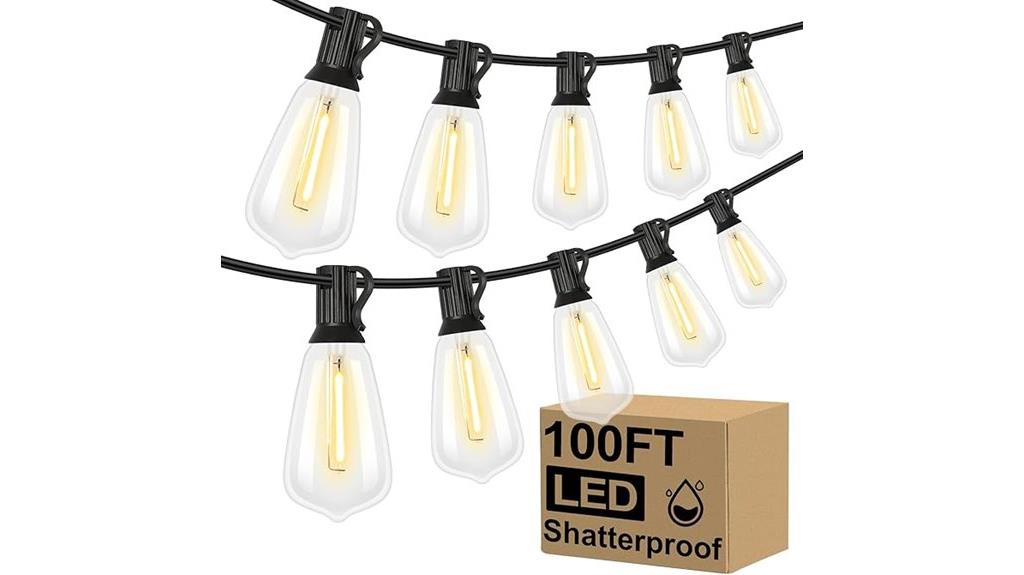 long edison bulb string
