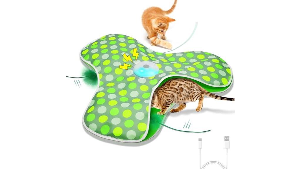 rechargeable interactive cat toys