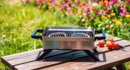 top portable gas grills