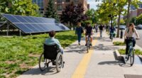 dividing accessibility from sustainability
