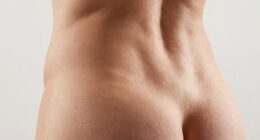 honest lumbar support explanation