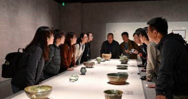 museum team storytelling insights