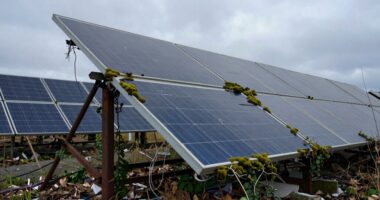 neglected maintenance undermines sustainability