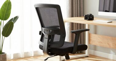 top ergonomic chairs 2026