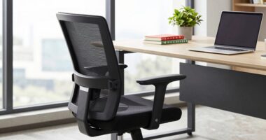top ergonomic chairs 2026