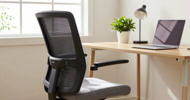 top ergonomic office chairs
